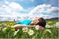 field of flowers